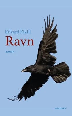 Omslag: "Ravn : roman" av Edvard Eikill