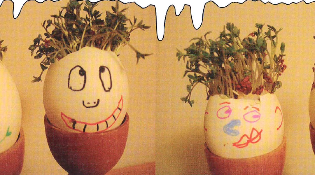 Egg i eggeglass med malte ansikt og karsehår